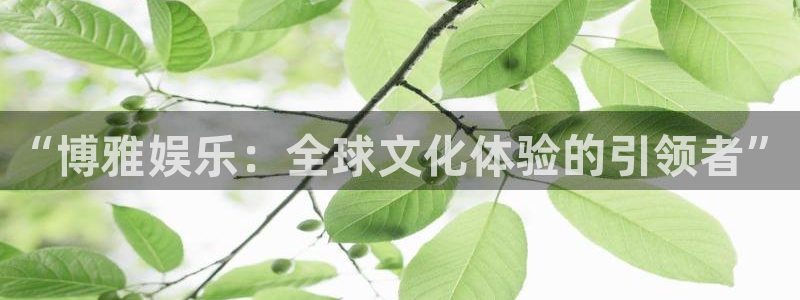 赢乐彩票体育f开户：“博雅娱乐：全球文化体验的引领者”