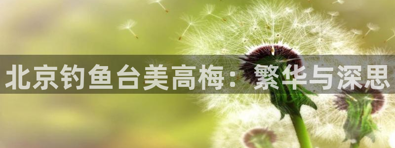 赢乐彩票代理：北京钓鱼台美高梅：繁华与深思