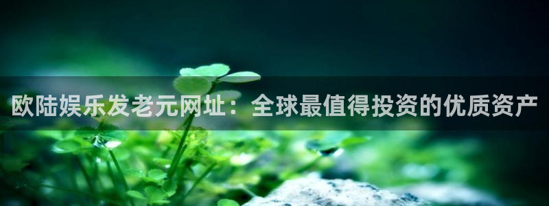 赢乐彩票2登录入口：欧陆娱乐发老元网址：全球最值得投资的优质资产