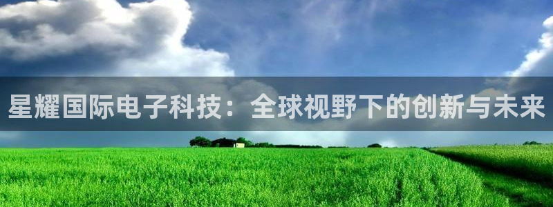 赢乐彩票k：星耀国际电子科技：全球视野下的创新与未来