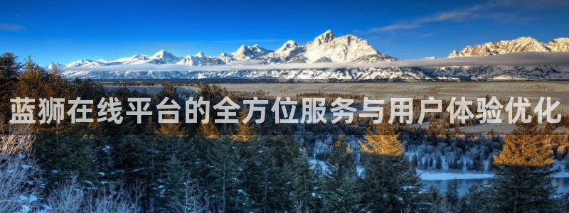 赢乐彩票体育凯捷代理注册：蓝狮在线平台的全方位服务与用户体验优化
