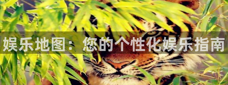 赢乐彩票平台招商：娱乐地图：您的个性化娱乐指南
