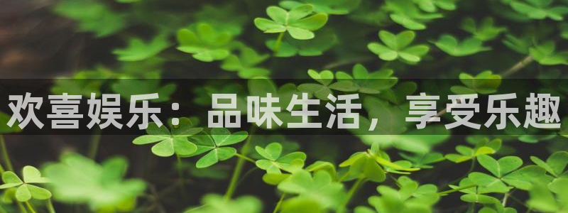 赢乐彩票代理：欢喜娱乐：品味生活，享受乐趣