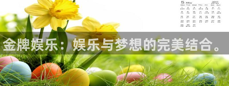 www.赢乐彩票体育.com：金牌娱乐：娱乐与梦想的完美结合。