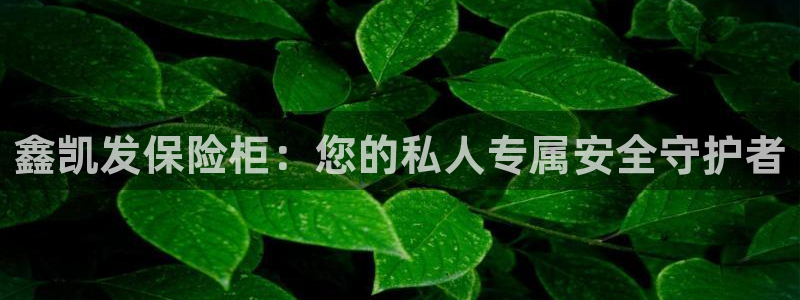 赢乐彩票3官网登录：鑫凯发保险柜：您的私人专属安全守护者