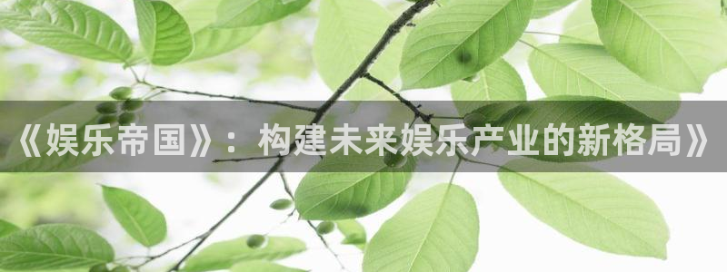 赢乐彩票登录界面入口：《娱乐帝国》：构建未来娱乐产业的新格局》