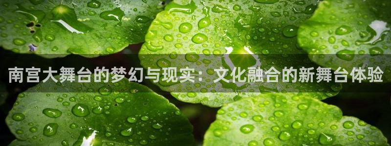 赢乐彩票2代理注册：南宫大舞台的梦幻与现实：文化融合的新舞台体验