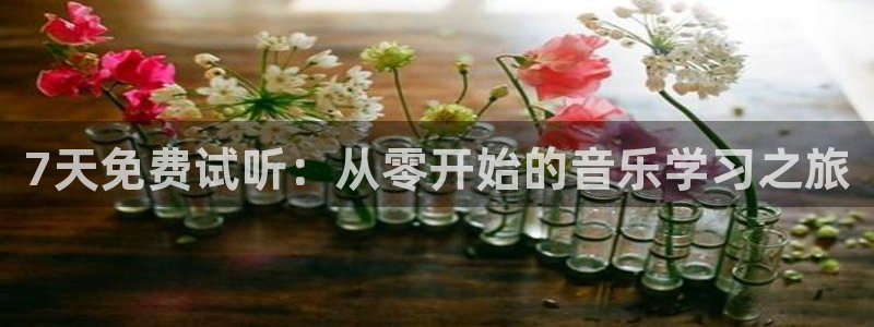赢乐彩票体育平台登录入口：7天免费试听：从零开始的音乐学习之旅
