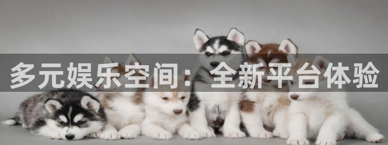 赢乐彩票主管：多元娱乐空间：全新平台体验