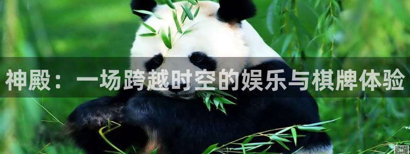 赢乐彩票2登录地址：神殿：一场跨越时空的娱乐与棋牌体验