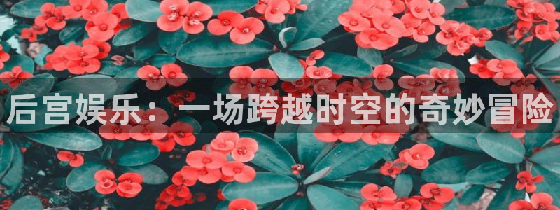 赢乐彩票体育官网入口登录：后宫娱乐：一场跨越时空的奇妙冒险