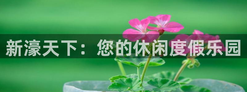 赢乐彩票体育代理：新濠天下：您的休闲度假乐园