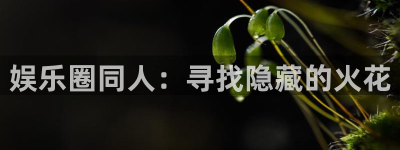 赢乐彩票平台总代理：娱乐圈同人：寻找隐藏的火花