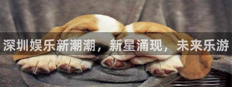 赢乐彩票官网注册：深圳娱乐新潮潮，新星涌现，未来乐游