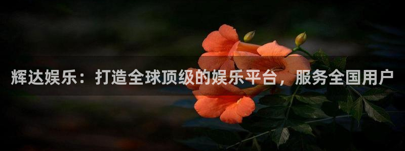 赢乐彩票平台注册：辉达娱乐：打造全球顶级的娱乐平台，服务全国用户