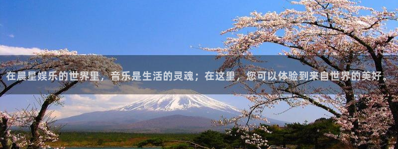 赢乐彩票4登录：在晨星娱乐的世界里，音乐是生活的灵魂；在这里，您可以体验到来自世