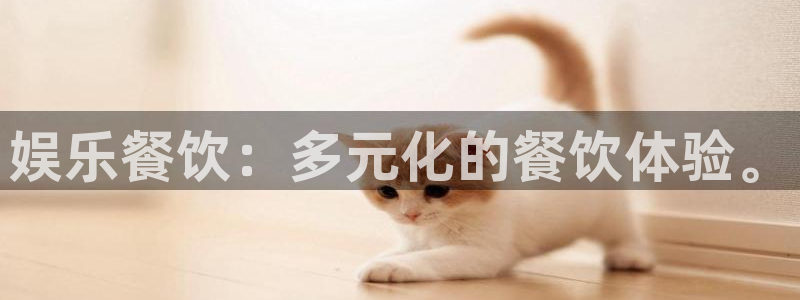 赢乐彩票2代理注册：娱乐餐饮：多元化的餐饮体验。
