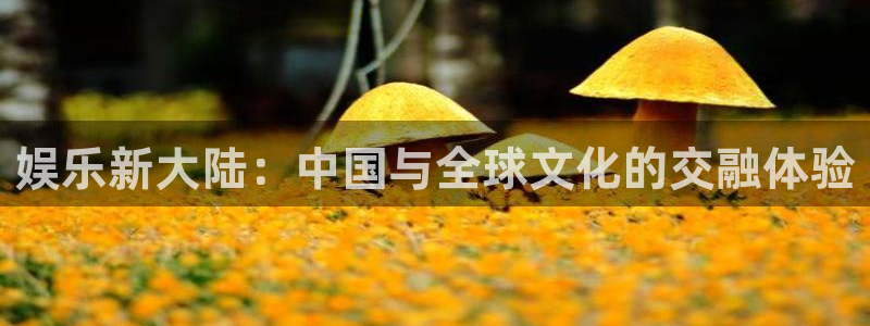 赢乐彩票5招商：娱乐新大陆：中国与全球文化的交融体验