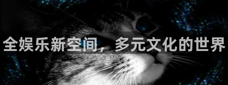 赢乐彩票体育游戏：全娱乐新空间，多元文化的世界