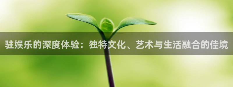 赢乐彩票官网：驻娱乐的深度体验：独特文化、艺术与生活融合的佳境