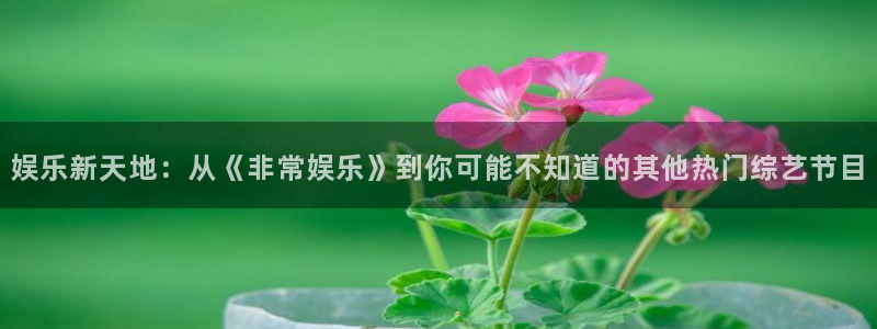 赢乐彩票4登录：娱乐新天地：从《非常娱乐》到你可能不知道的其他热门综艺节目