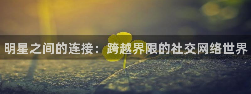 赢乐彩票体育平台总代理：明星之间的连接：跨越界限的社交网络世界