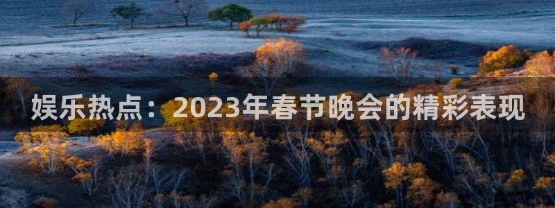 赢乐彩票凯捷开号链接：娱乐热点：2023年春节晚会的精彩表现