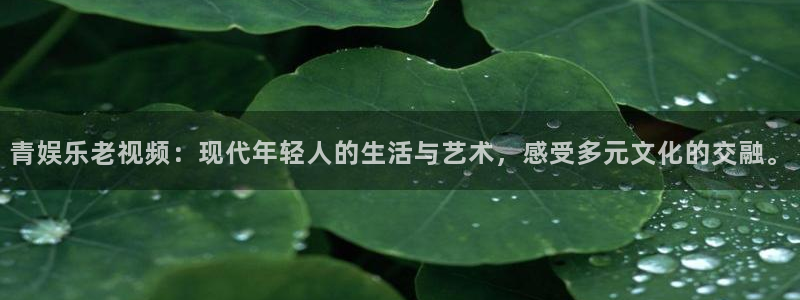 赢乐彩票体育平台开号链接：青娱乐老视频：现代年轻人的生活与艺术，感受多元文化的交