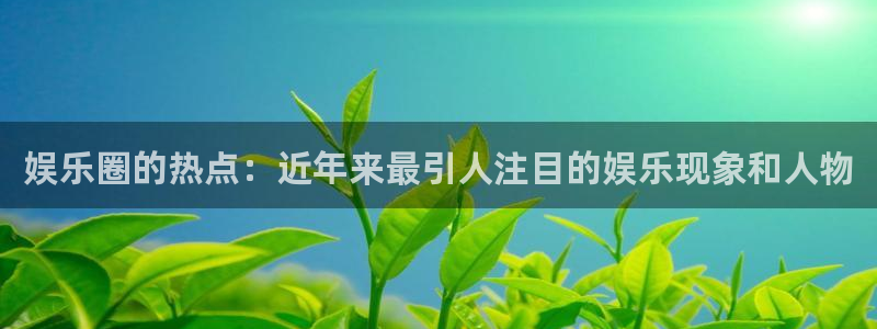 赢乐彩票体育代理申请流程：娱乐圈的热点：近年来最引人注目的娱乐现象和人物