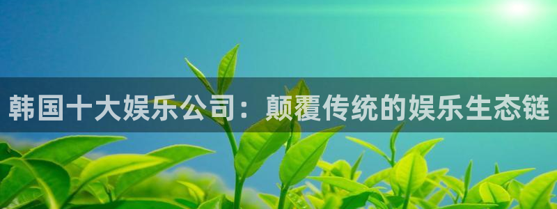 赢乐彩票体育凯捷登陆：韩国十大娱乐公司：颠覆传统的娱乐生态链
