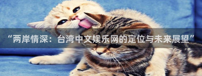 赢乐彩票环保：“两岸情深：台湾中文娱乐网的定位与未来展望”