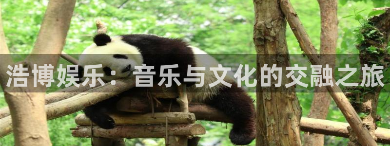 赢乐彩票登录：浩博娱乐：音乐与文化的交融之旅