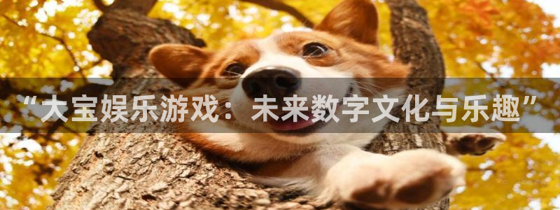 赢乐彩票体育官网注册：“大宝娱乐游戏：未来数字文化与乐趣”