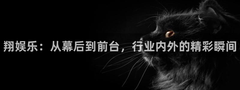 赢乐彩票2平台登录：翔娱乐：从幕后到前台，行业内外的精彩瞬间