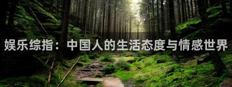 赢乐彩票官网注册：娱乐综指：中国人的生活态度与情感世界