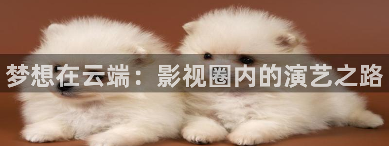 赢乐彩票凯捷平台：梦想在云端：影视圈内的演艺之路