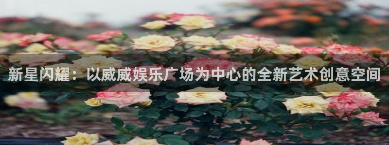 赢乐彩票体育网页版入口：新星闪耀：以威威娱乐广场为中心的全新艺术创意空间
