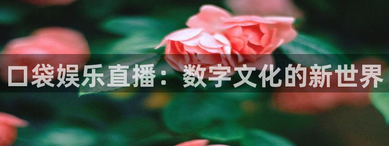 赢乐彩票体育凯捷平台主管：口袋娱乐直播：数字文化的新世界