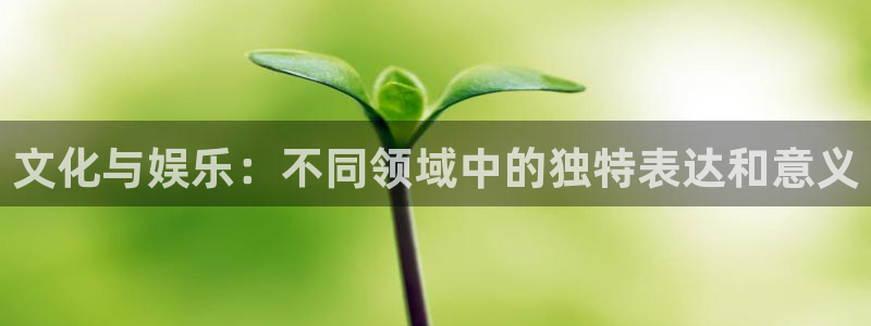 赢乐彩票3注册：文化与娱乐：不同领域中的独特表达和意义