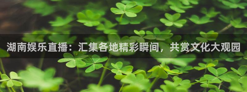 赢乐彩票平台：湖南娱乐直播：汇集各地精彩瞬间，共赏文化大观园
