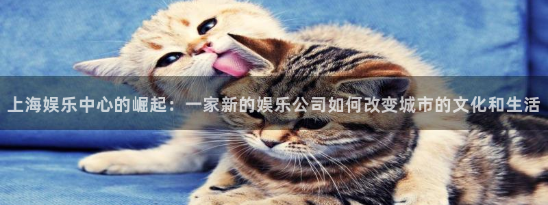 赢乐彩票体育app下载：上海娱乐中心的崛起：一家新的娱乐公司如何改变城市的文化和生活