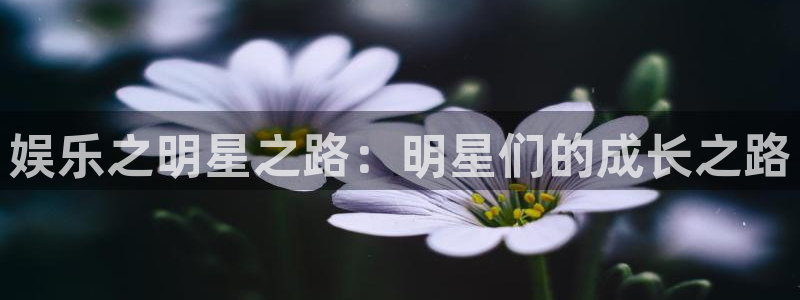 赢乐彩票vk：娱乐之明星之路：明星们的成长之路